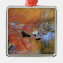 Search for autumn ornaments Blue