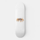 Search for crab skateboards Animal