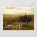 Recherche de arbre joshua cartes postales Parc national