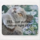 Search for winston mousepads British