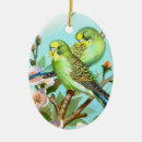 Search for budgie ornaments Green