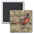 Search for pheasant kitchen dining necked pheasant rings