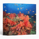 Search for reef binders Tropical