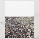 Search for beach flyers Seashell