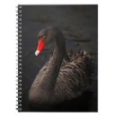 Search for beak notebooks Bird