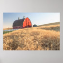 Search for release posters Barn