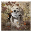 Recherche de faisans posters Animal