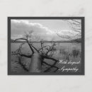 Search for deepest postcards Sorrow