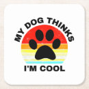 Search for cool coasters Mom