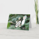 Recherche de frog anniversaire cartes Mignon