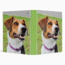 Search for beagle binders Cute