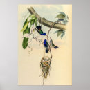 Search for vintage biology posters Nature