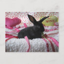 Search for bunny anniversary cards Cute
