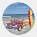 Search for dog car magnets Cat