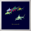Recherche de attaque requin art Requins