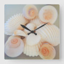 Search for shell clocks White