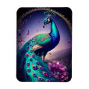Recherche de oiseau exotique magnets Animaux