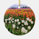 Search for tulip ornaments Farm
