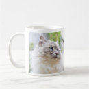 Search for beautiful eyes mugs Kitty