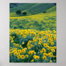 Recherche de histoire naturelle posters Flore