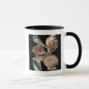 Search for treasure mugs Sea