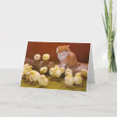 Search for happy cat easter cards Chicks