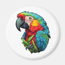 Search for parrot magnets Bird