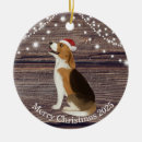 Search for beagle ornaments Lights
