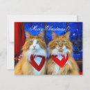 Search for maine christmas cards Cats
