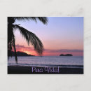 Search for vida postcards Sunset