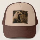 Recherche de étourdi casquettes Faune