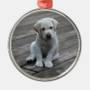 Search for retriever ornaments Labrador