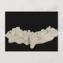 Recherche de les sciences naturelles cartes postales Arrière plan noir