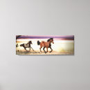 Search for wild stallion art Mare