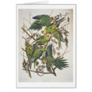 Search for 1829 Birds
