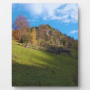 Recherche de haut plaques Nature