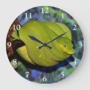 Recherche de python horloges Vert
