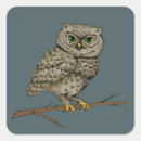 Search for wood owl stickers Blue