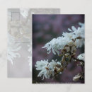 Search for pink petals postcards Nature