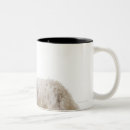 Search for cut up drinkware Horizontal