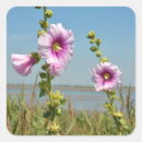Search for hollyhock stickers Floral