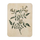 Recherche de végétal magnets Fleurs