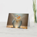 Search for goldfish cards Fishbowl