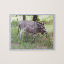 Recherche de ânes puzzles Mule