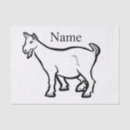 Search for goat tissue paper Sheep