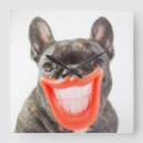 Recherche de bouledogues horloges Images getty