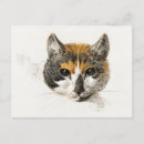 Search for bernard horizontal postcards Cute