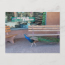 Recherche de new mexico postcards Albuquerque