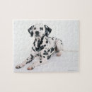 Recherche de dalmatien puzzles Dog