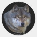 Search for timbers stickers Grey wolves